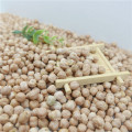 Good manufacture of chickpea hot sale